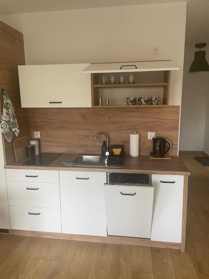 Apartament Kuba Na Spokojnej Wisła Eksteriør bilde